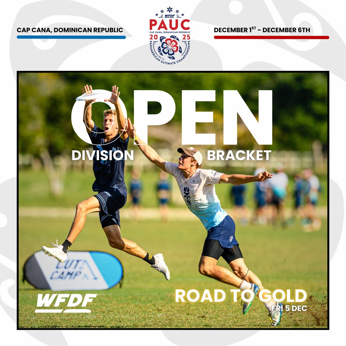 World Flying Disc Federation (WFDF) tweet media