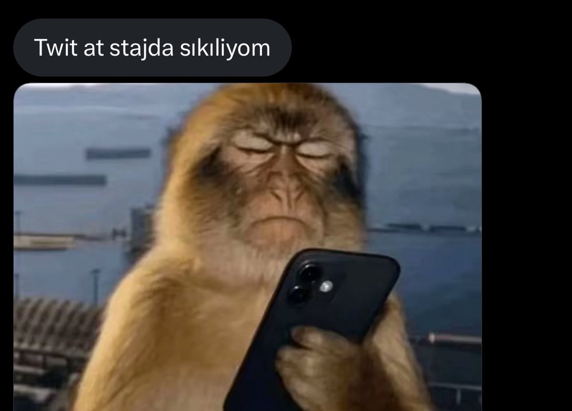 chiary (@aiscely) on Twitter photo 