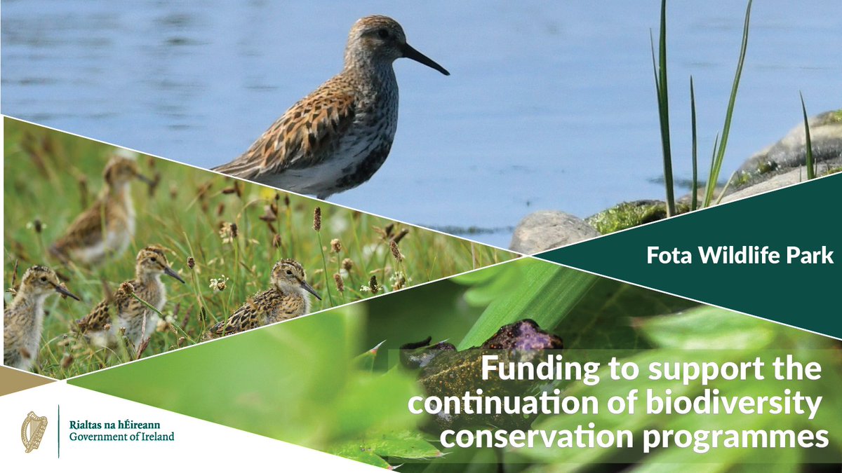 Department of Housing, Local Government & Heritage tweet media