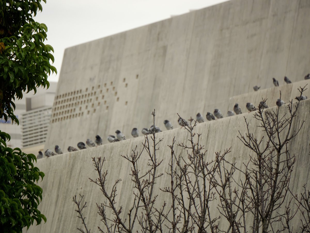 OKINAWA photography6288枚目 ＃tokyocameraclub