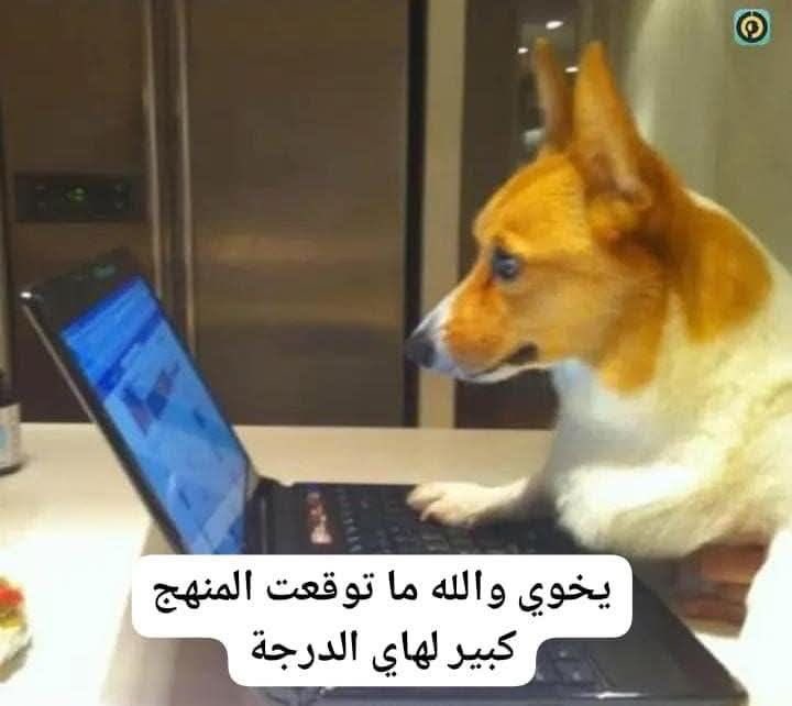 رحمة (@rm3620839929879) on Twitter photo 