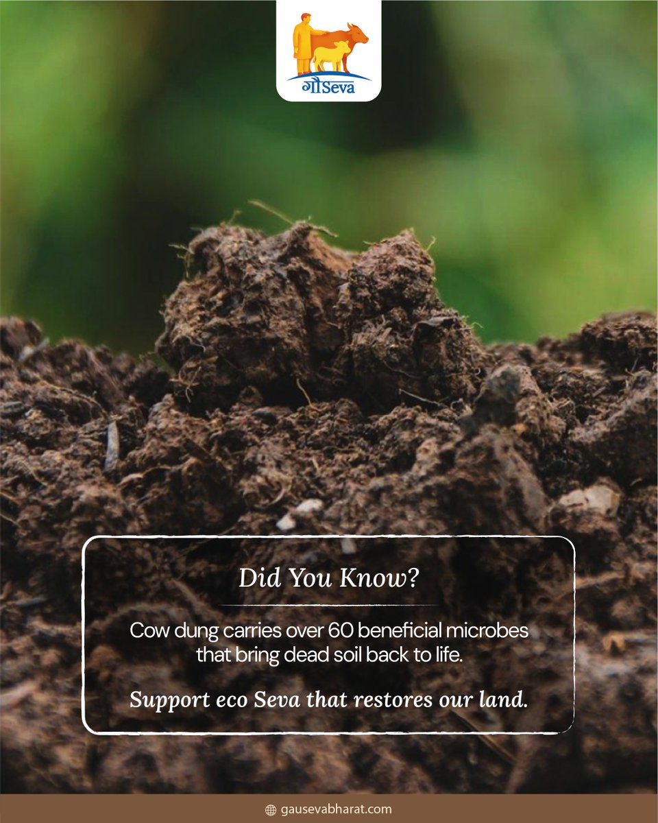 Let nature heal through Gau Mata. 

🌿 Learn more at 🌐 zurl.co/toZS3