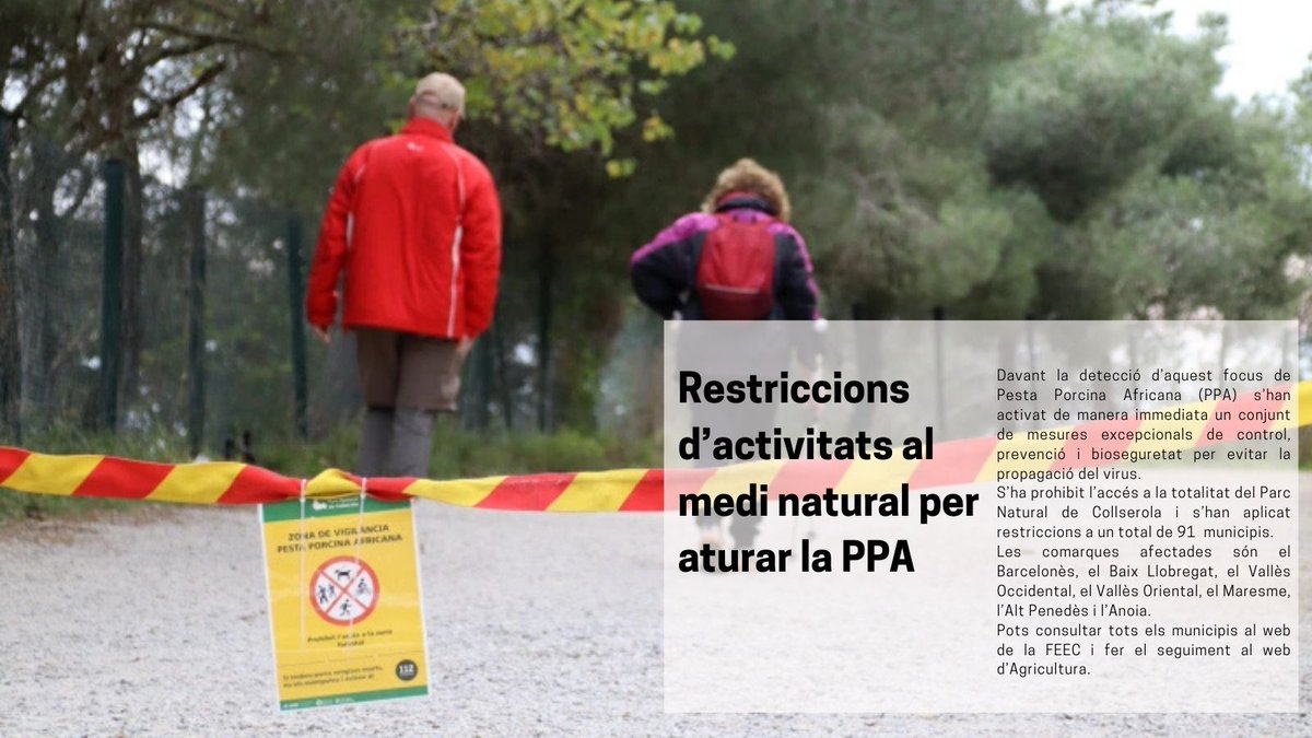 ⚠️ El Govern tanca 🌲Collserola i prohibeix les activitats al medi natural en les zones afectades per la Pesta Porcina Africana. 

Des d' <a href="/agriculturacat/">Agricultura</a> es demana que es respectin les restriccions a les zones delimitades especialment al <a href="/parcncollserola/">Parc Natural de Collserola</a> 

📢 Si tens pensat fer