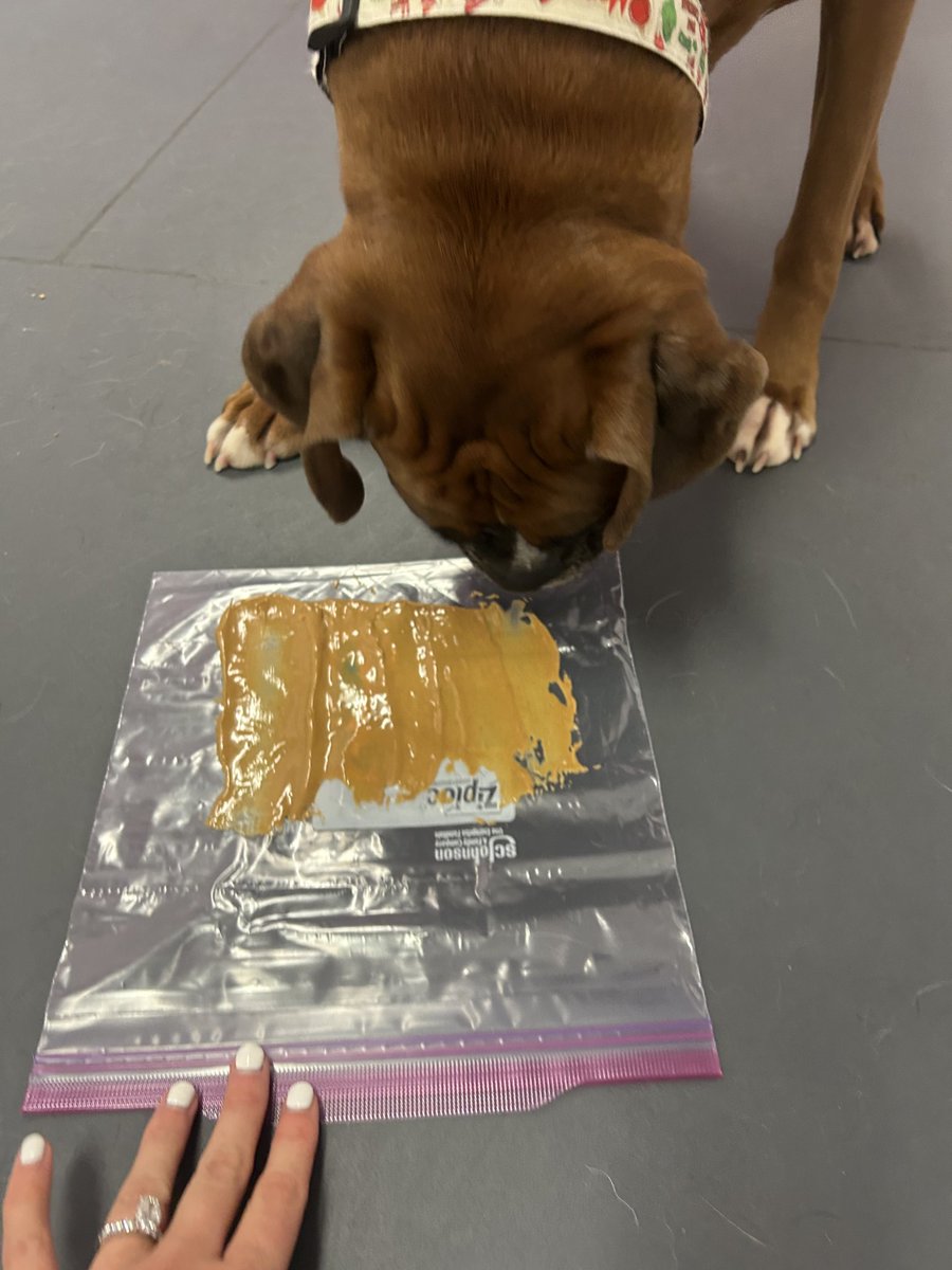 samjacklover's tweet image. Caden's ornament that he made at daycare.  Totally love it Central Bark New Berlin !!! 💗💗💗