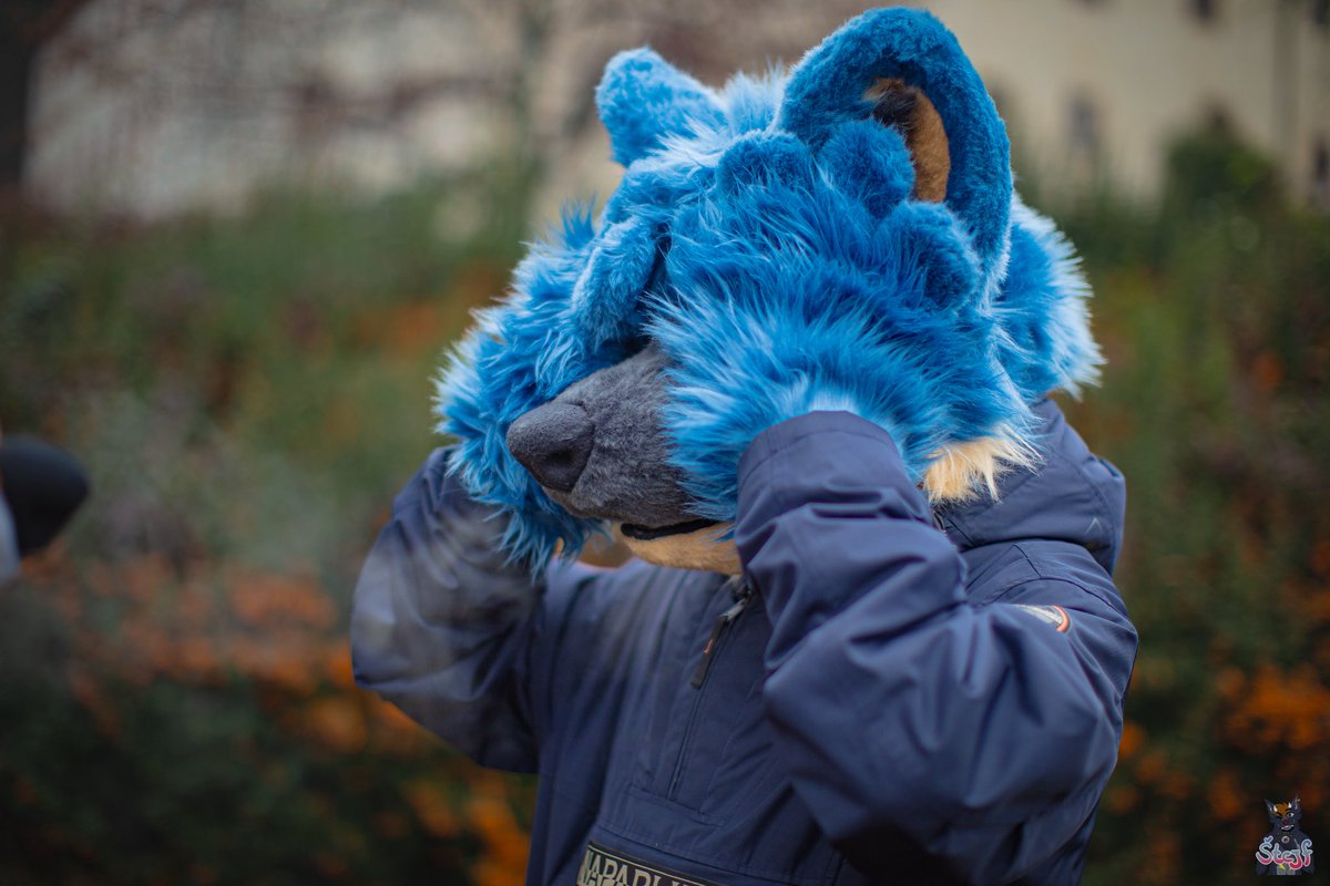 Vøjstřík tweet media