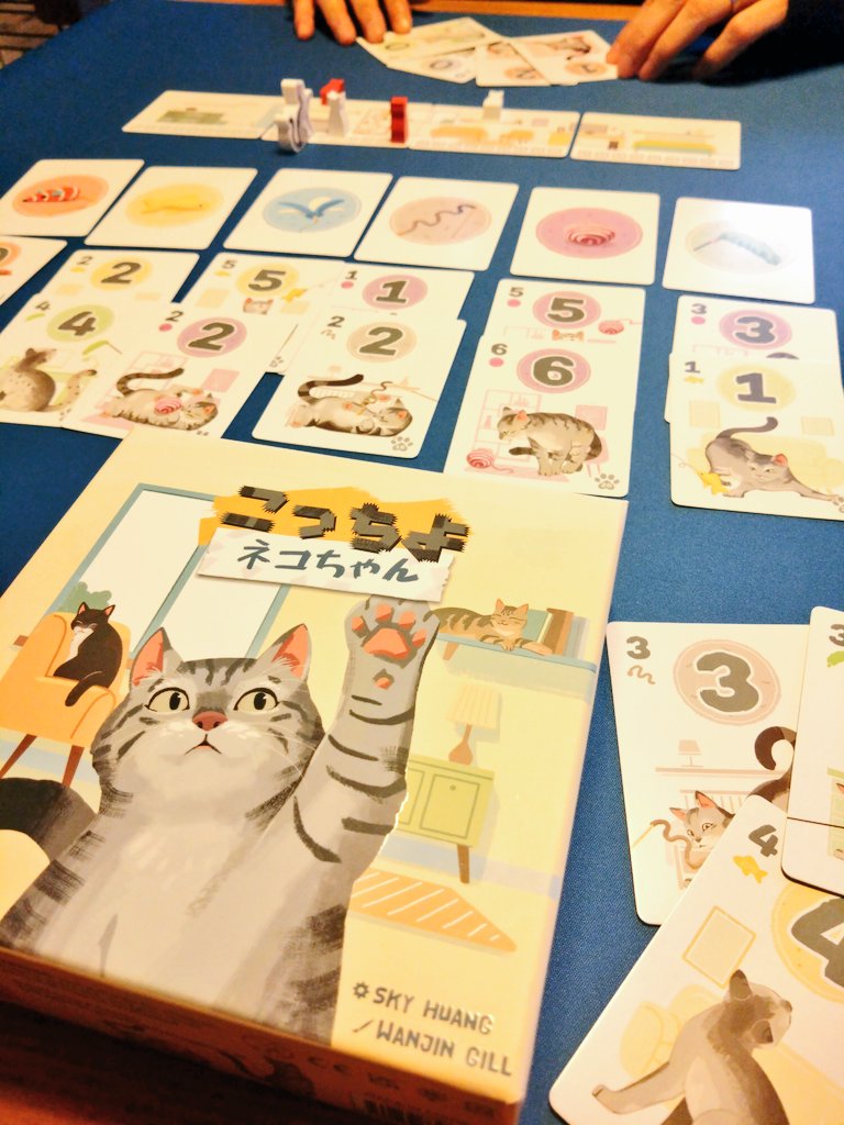 夫婦で遊んだ♫ #こっちよネコちゃん 手札からどの数字をどこに並べて
