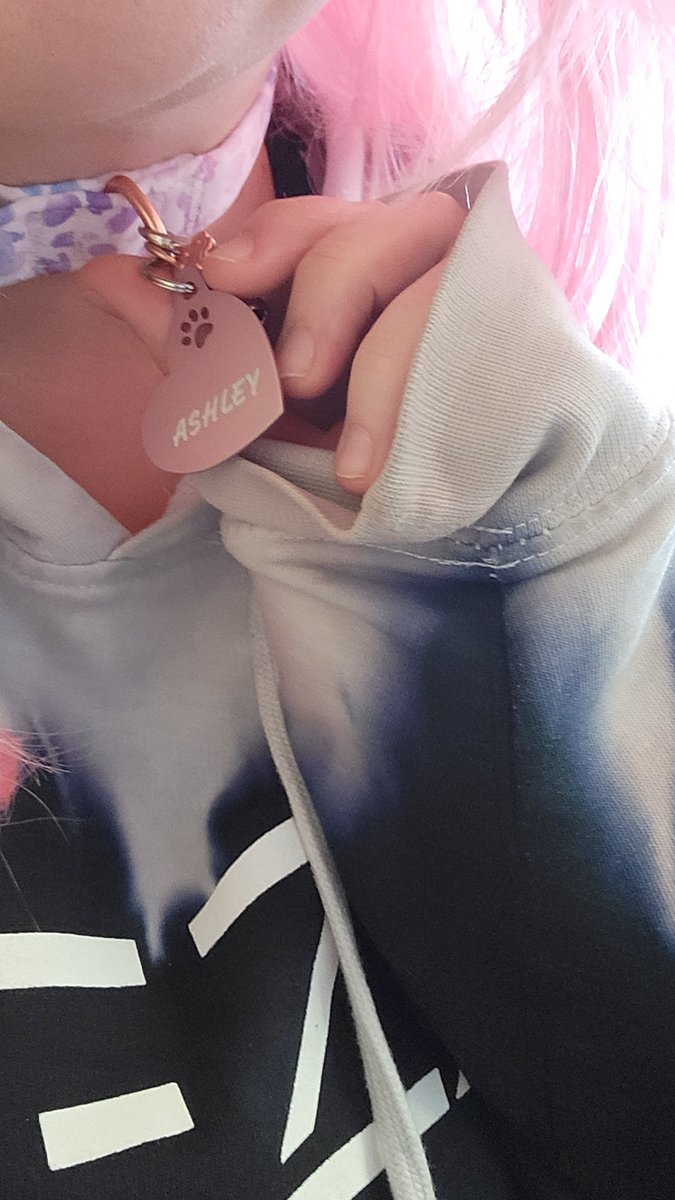 Panoramic (Ash) tweet media