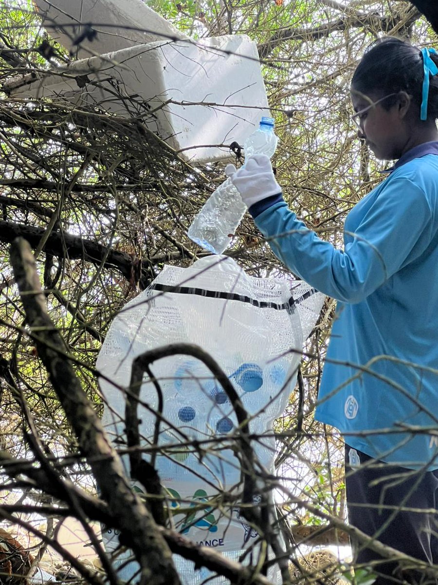 Maldives Ocean Plastics Alliance tweet media