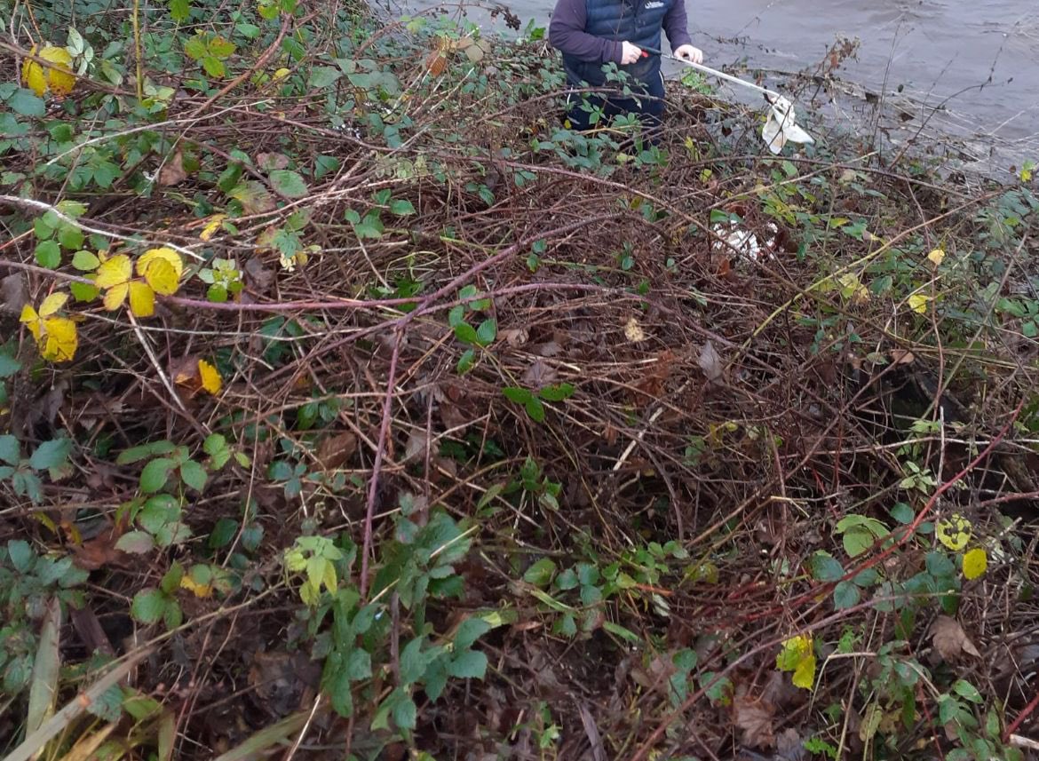 SWilsonUUP's tweet photo. A massive thank you to the Council’s Parks Department for undertaking a litter pick along the Maine River bank at my request ✅

This was following reports of household waste being dumped close to the water which could cause significant harm to local wildlife ‼️ https://t.co/XqbeXAiDMP