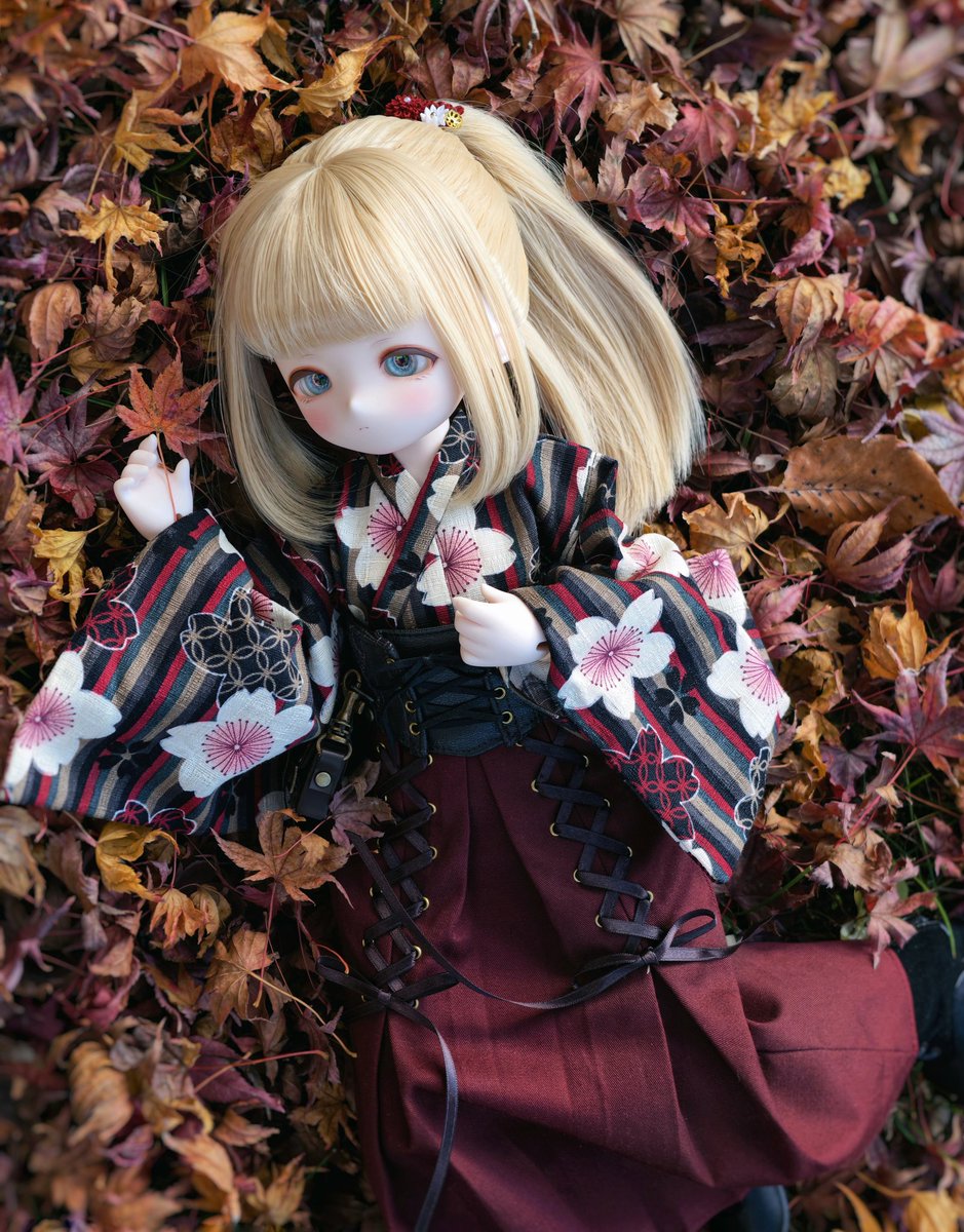 🍁紅葉は、散ってしまった後でさえ、美しいものですね。 #うちの子