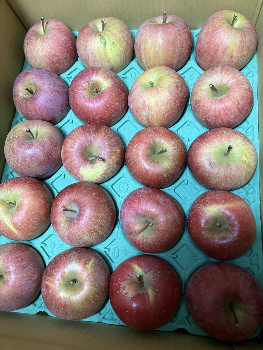 ありんこ (@bfGNMTnfyFQ4d4m) / Posts / X