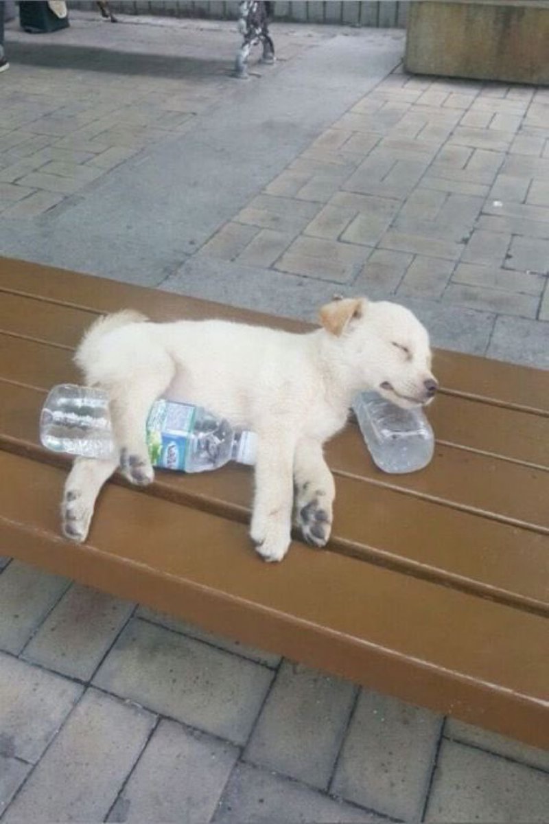 não sei vcs mais eu durmo exatamente assim