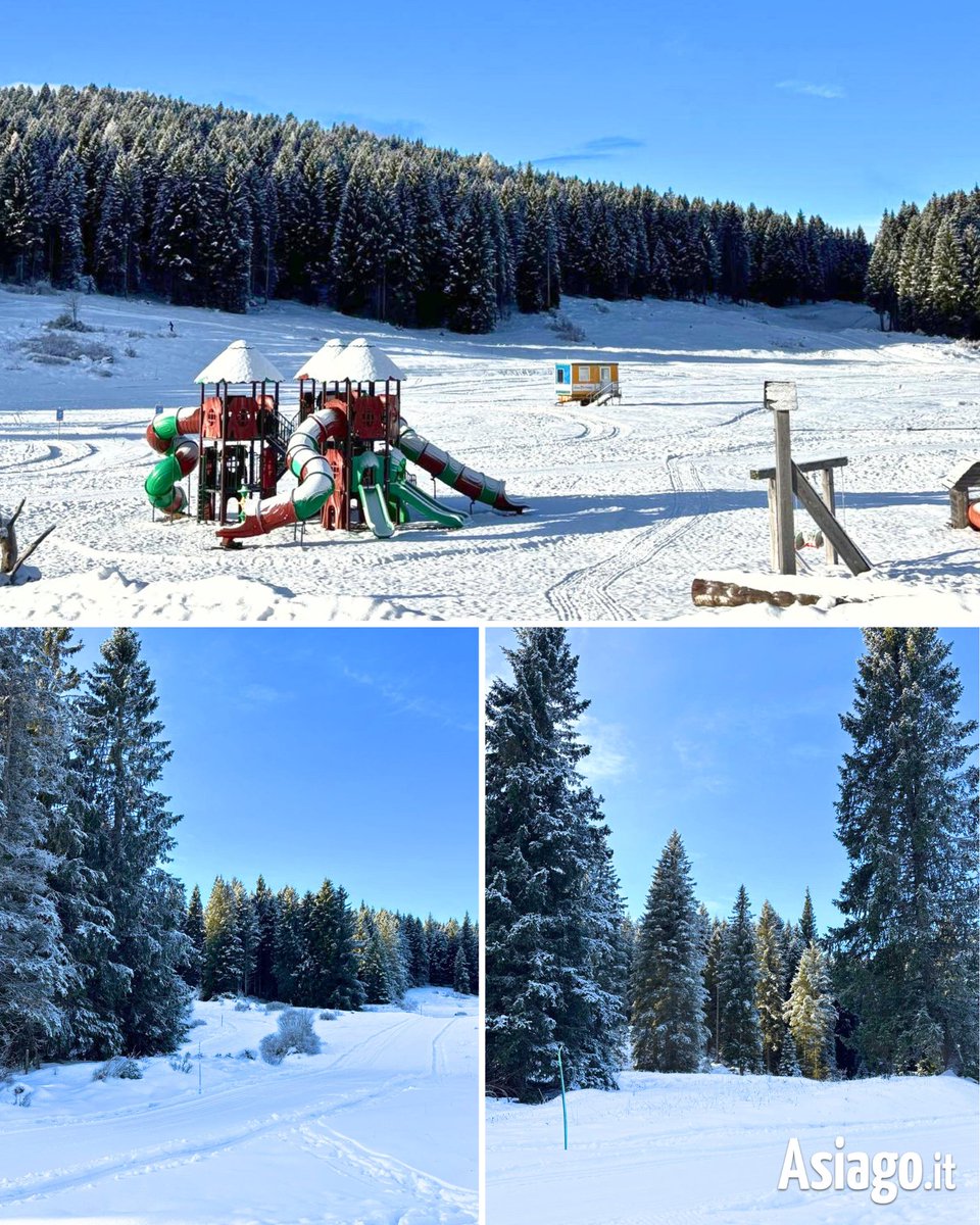 AsiagoIt's tweet photo. Scorci da #CAMPOLONGO... 💙 Amici, lo sapete che qui si torna a #sciare? ⛷️
Da #oggi fino a lunedì compreso, aperti:
- pista agonistica 4 Km
- noleggio
- #RifugioCampolongo
- e da #domani tapis roulant!
#BOLLETTINO #NEVE 👉 https://t.co/YLirxp6gYD
#Asiagoit https://t.co/JiRZ6HQD6R