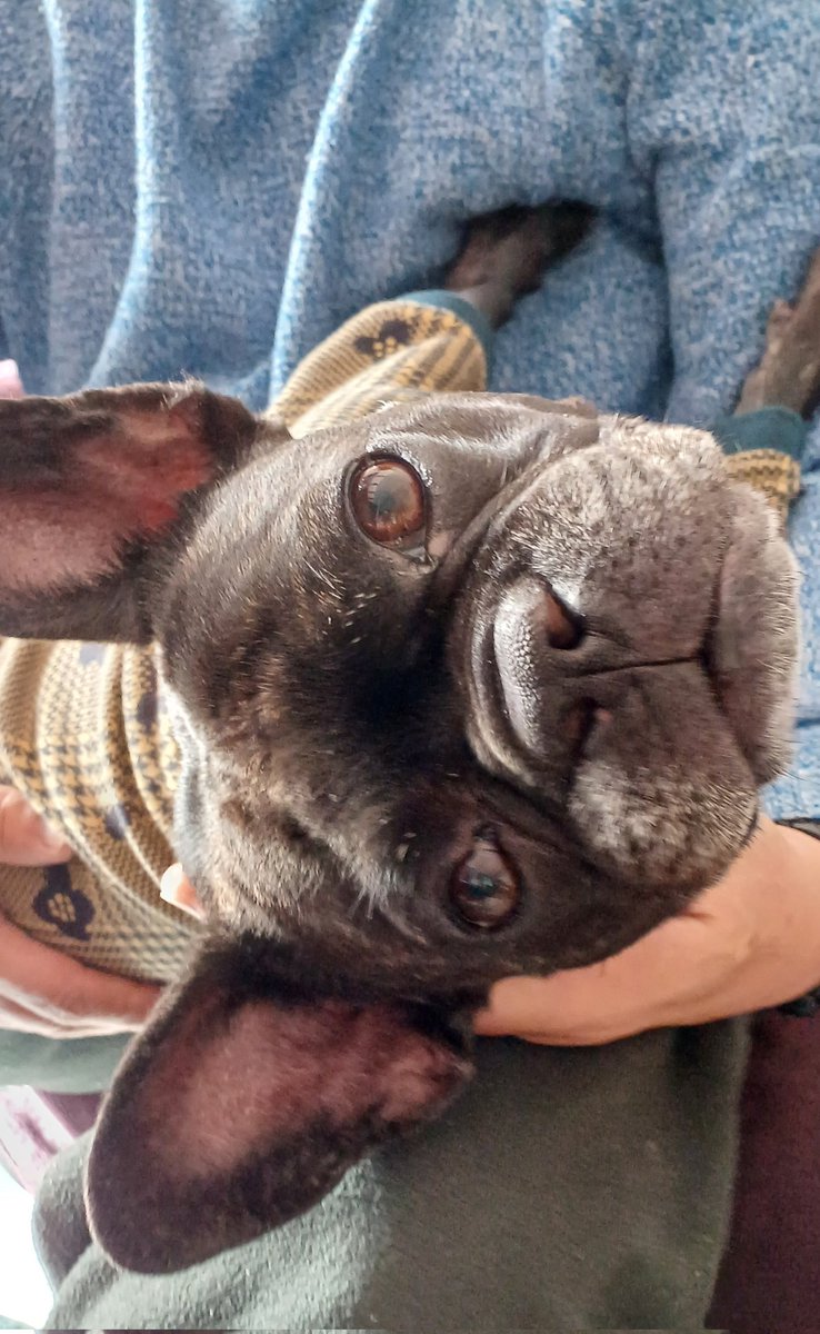 パパしゃんにされるがママサービス中でしゅよ💟