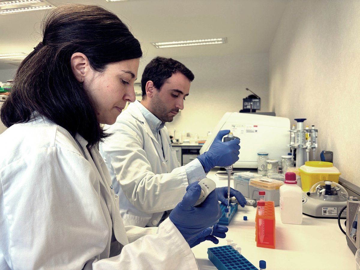 🆕 Investigadores del i+12 #H12O y UCM demuestran que el butirato mejora la eficacia de la terapia CAR-T frente al linfoma no Hodgkin. 

✅ Producido por la microbiota y combinado con inmunoterapia podría alargar la supervivencia. 

+ info: c.madrid/ej7jf1 #somosdel12
