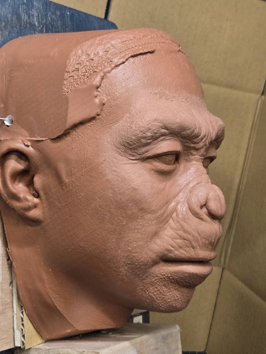 かの/カノックスター (@kanockstar) / Posts / X