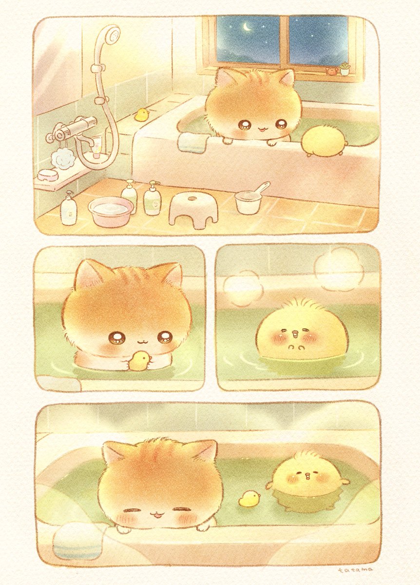 akぴょんこ (@aky_n612) / Posts / X