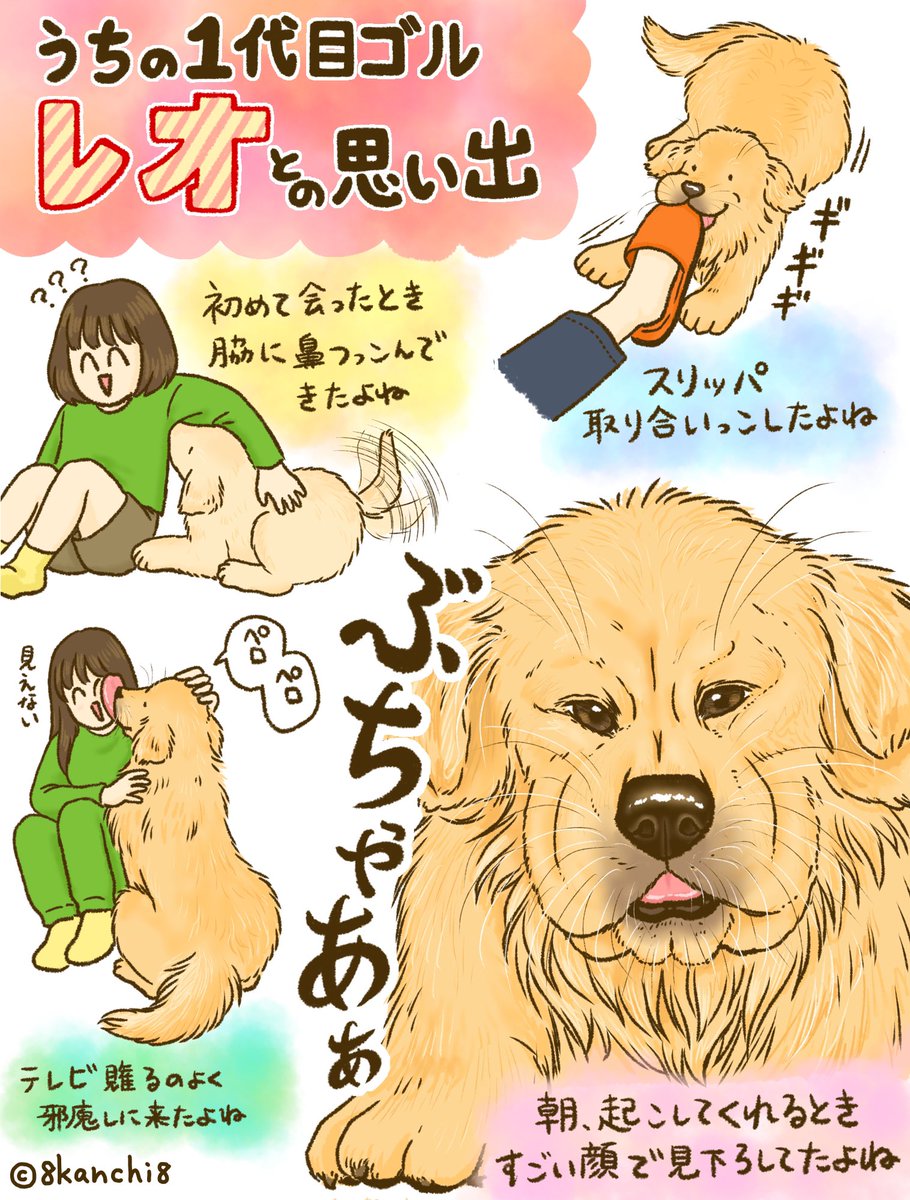昔飼ってたゴールデンレトリバーたちとの思い出(1/2) 