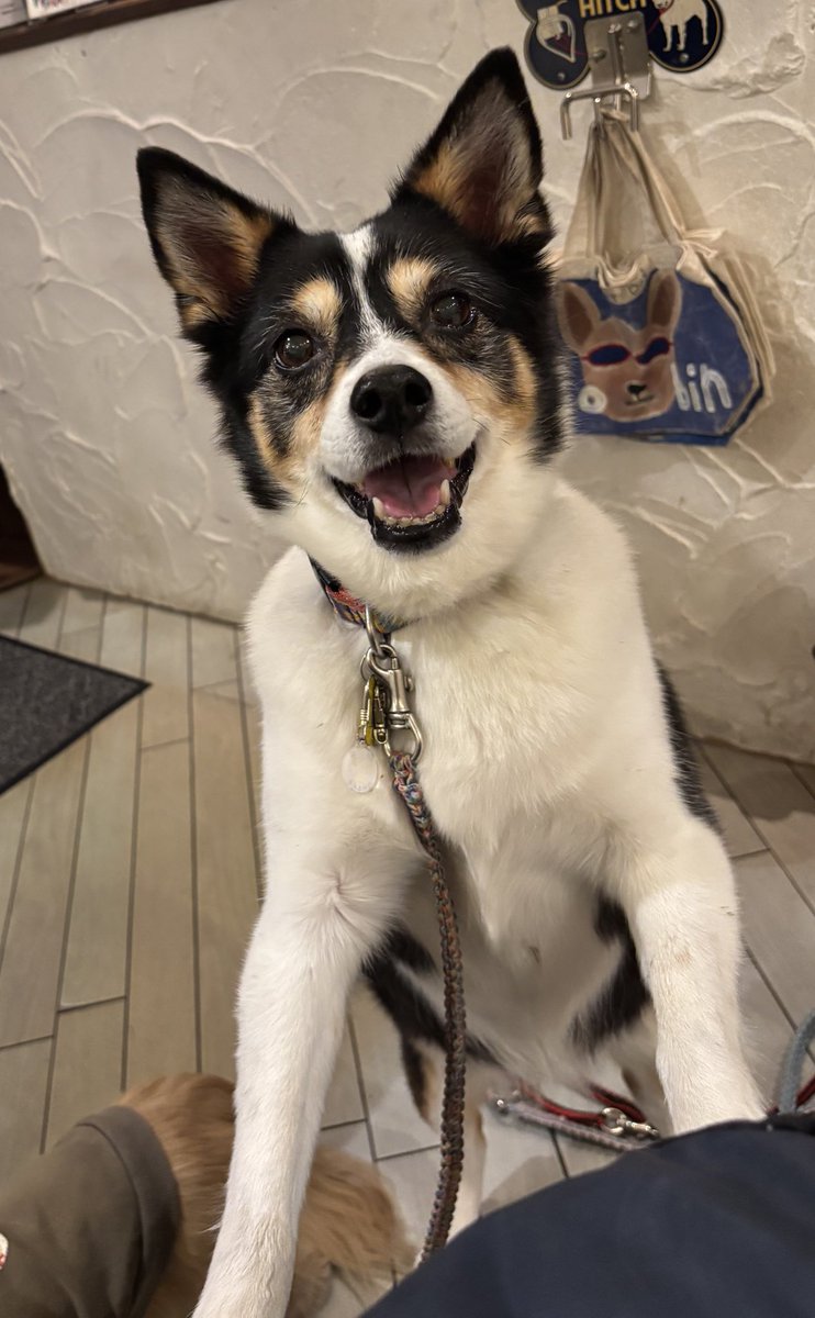 元気にたくさん食べてますよ😆