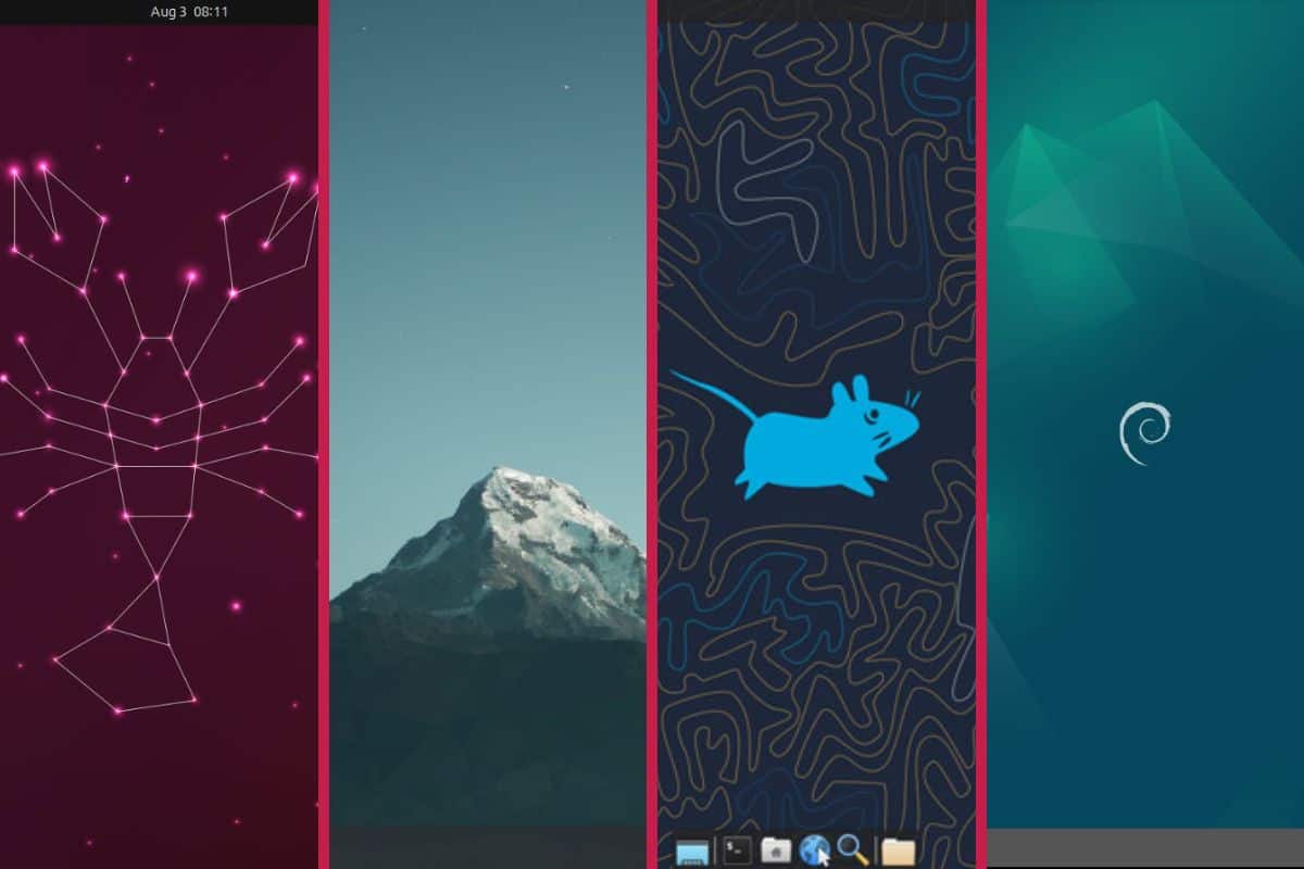TipsRaspberry's tweet image. Top 5 Desktop Environments for Ubuntu in 2025 (Illustrated) raspberrytips.com/best-desktop-e… #raspberrypi #ubuntu
