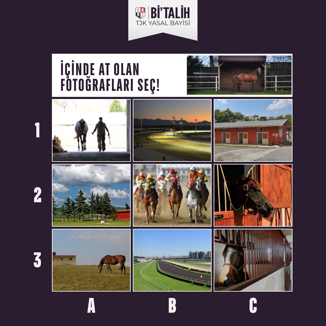 İçinde at olan fotoğrafları seç!

Örnek A1-B2 (Tüm seçenekleri yazmanız gerekiyor)

Doğru cevabı yaz, üye numaranla cevapla, 100 TL bonusu kap! 🎉

Doğru yanıtı veren ilk 50 <a href="/geldibitalih/">Bitalih</a> takipçisine 100 TL bonus!

Not: Kampanyadan sadece doğru cevabı veren İLK 50 <a href="/geldibitalih/">Bitalih</a>