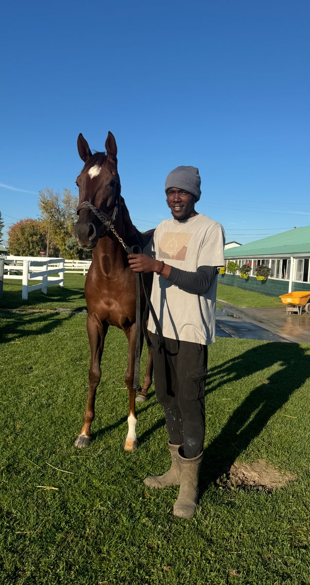A New Life in the Barn: Dante Martin’s Journey into Racing. ❤️ woodbine.com/blog/a-new-lif…