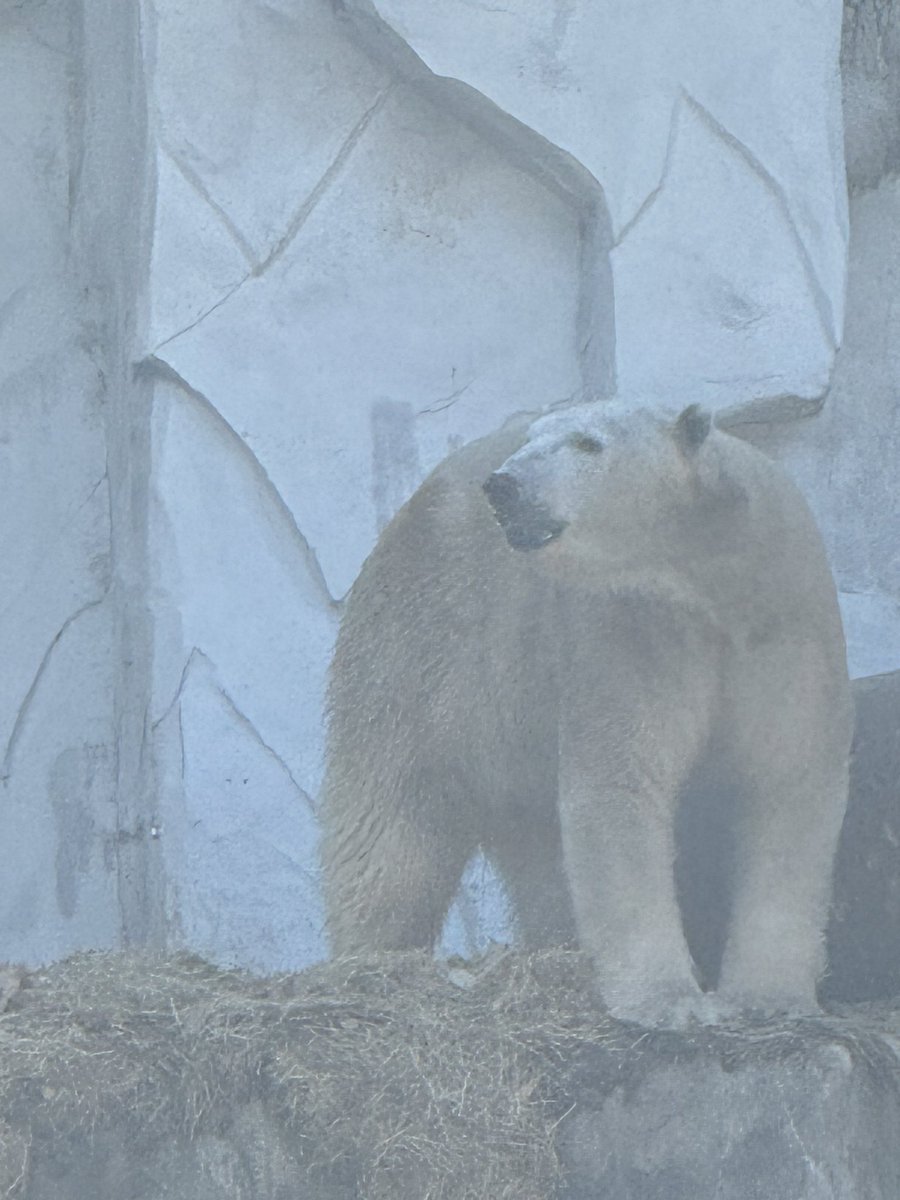 おはようございます♪ 土曜日✨ 今週末はお仕事です🥲 先週と打って