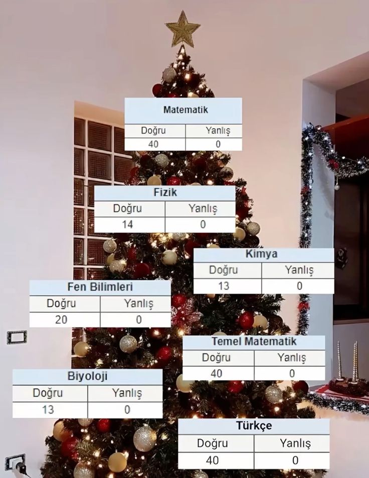 bizim yılbaşı ağacı da hazırr
777