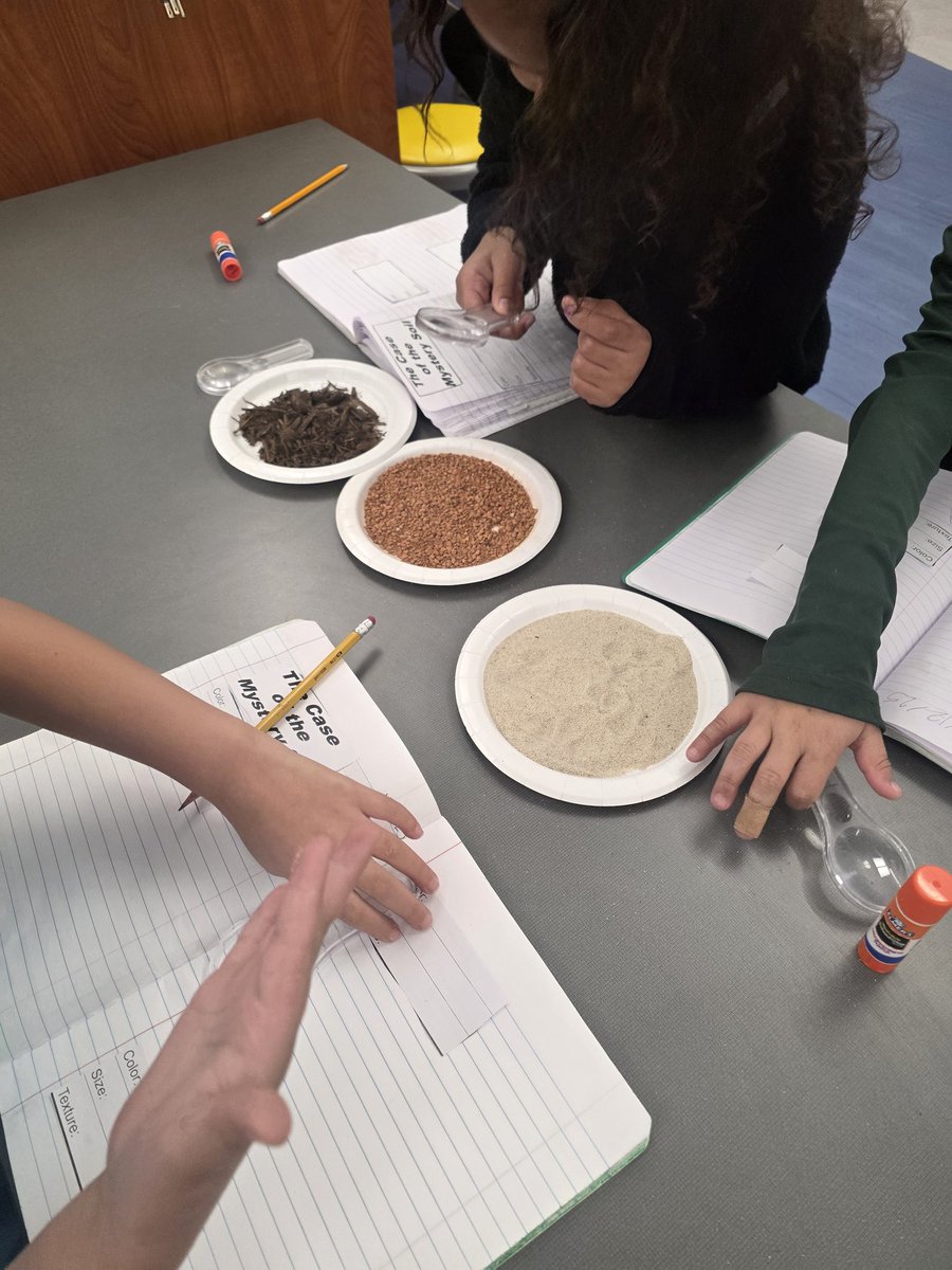 Nora Liston tweet media