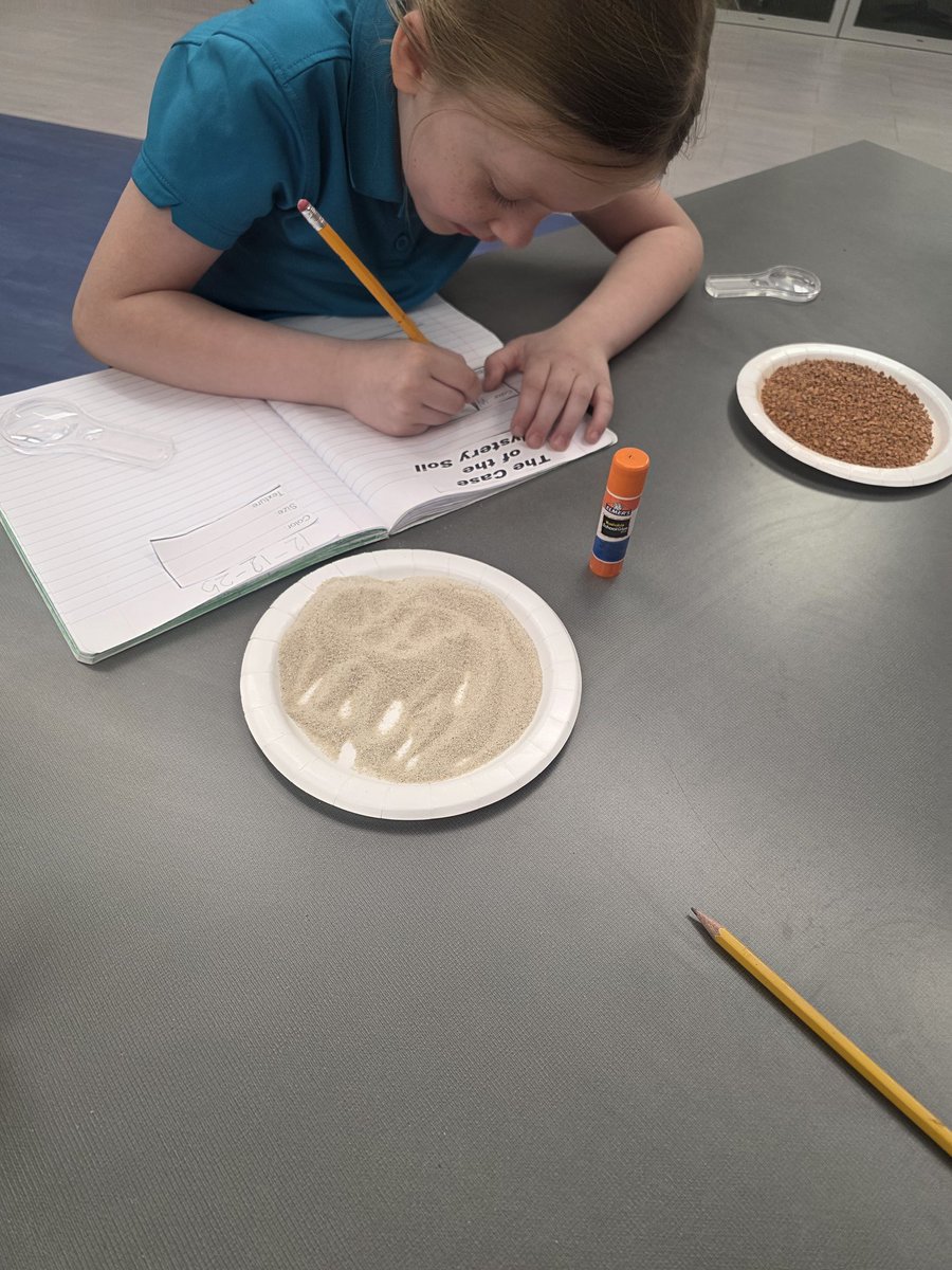 Nora Liston tweet media