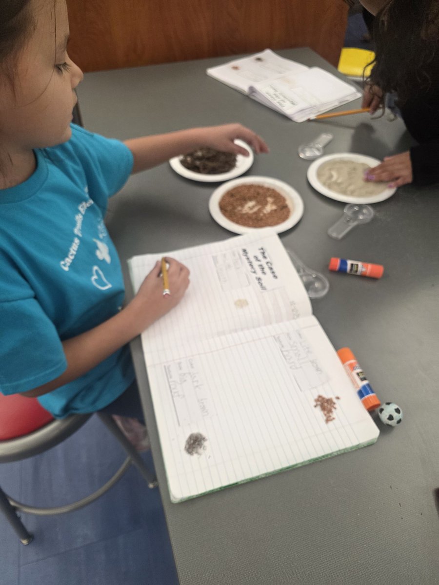 Nora Liston tweet media