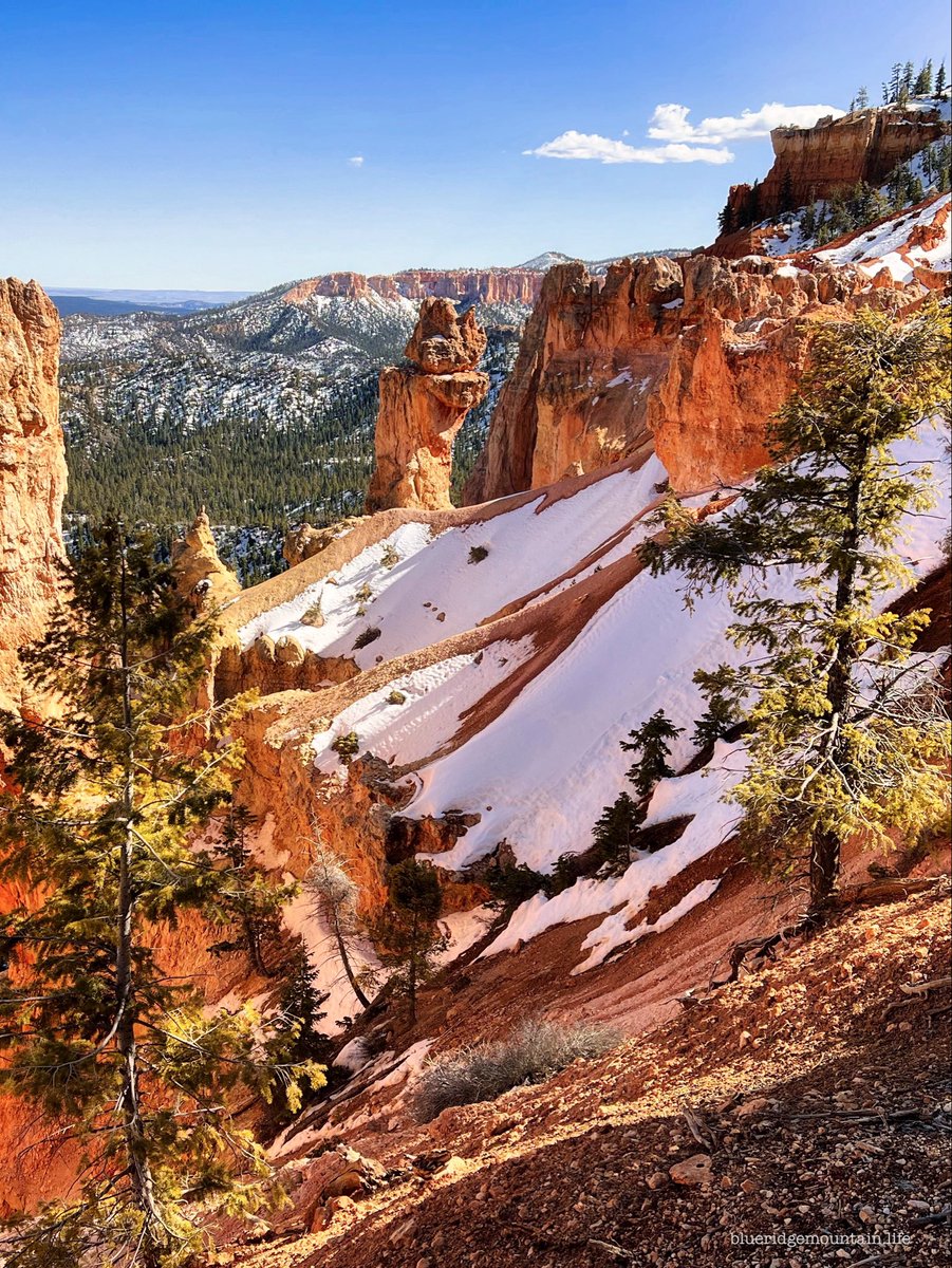 blueridgemountain_man tweet media