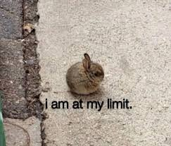 PureIrish tweet media