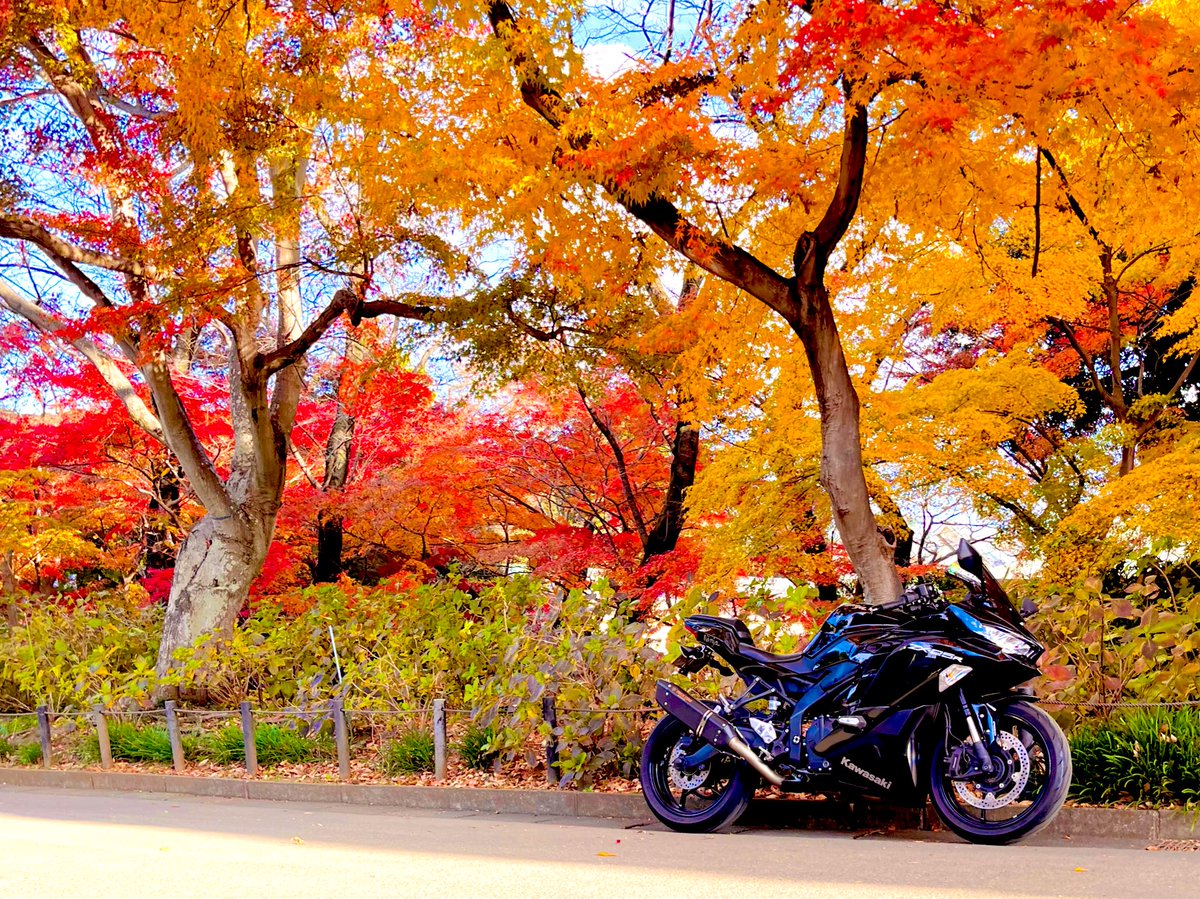 みっちゃんZX-14R (@ym025) / Posts / X