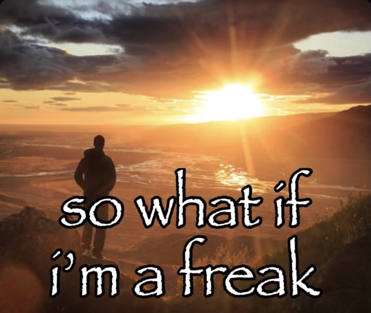 ♱ ✮₊˙♡♱ (@guttergore1) on Twitter photo 