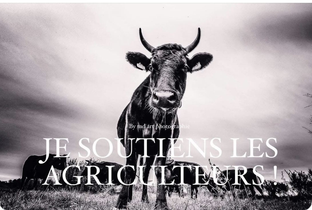 Smarkizz's tweet image. Pétition à signer et partager ✍️ sur le site de l’assemblée nationale petitions.assemblee-nationale.fr/initiatives/i-…?