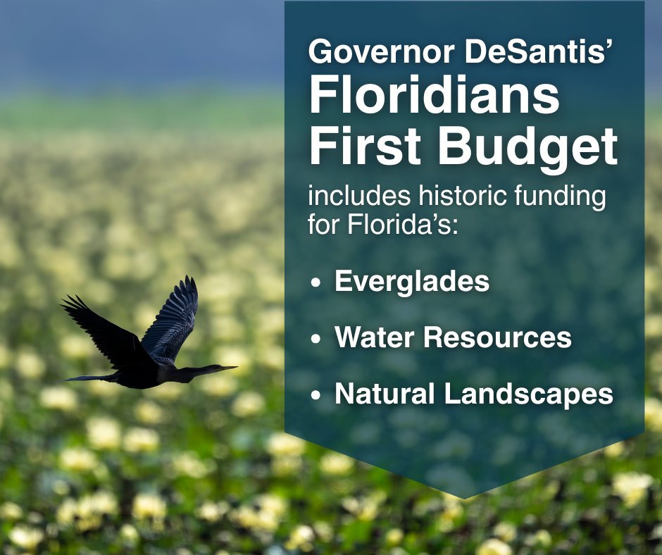 Florida DEP News tweet media