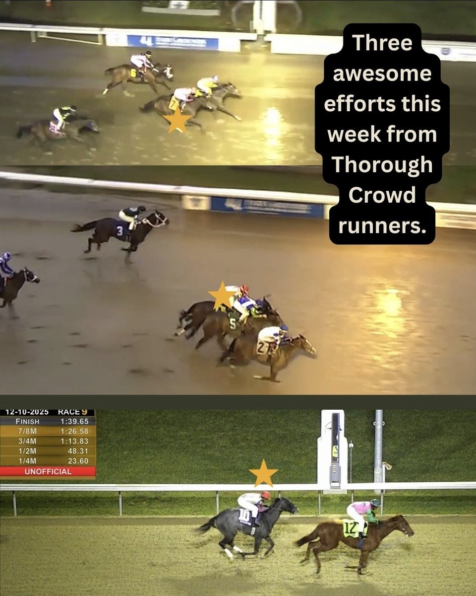 ThoroughCrowd tweet media