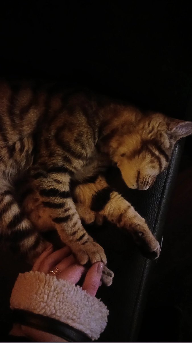 too drunk to drive, and the music is right ... 🖤