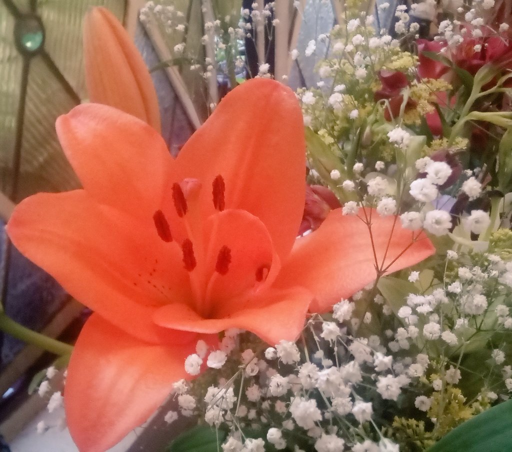 Traveling book blog tweet media