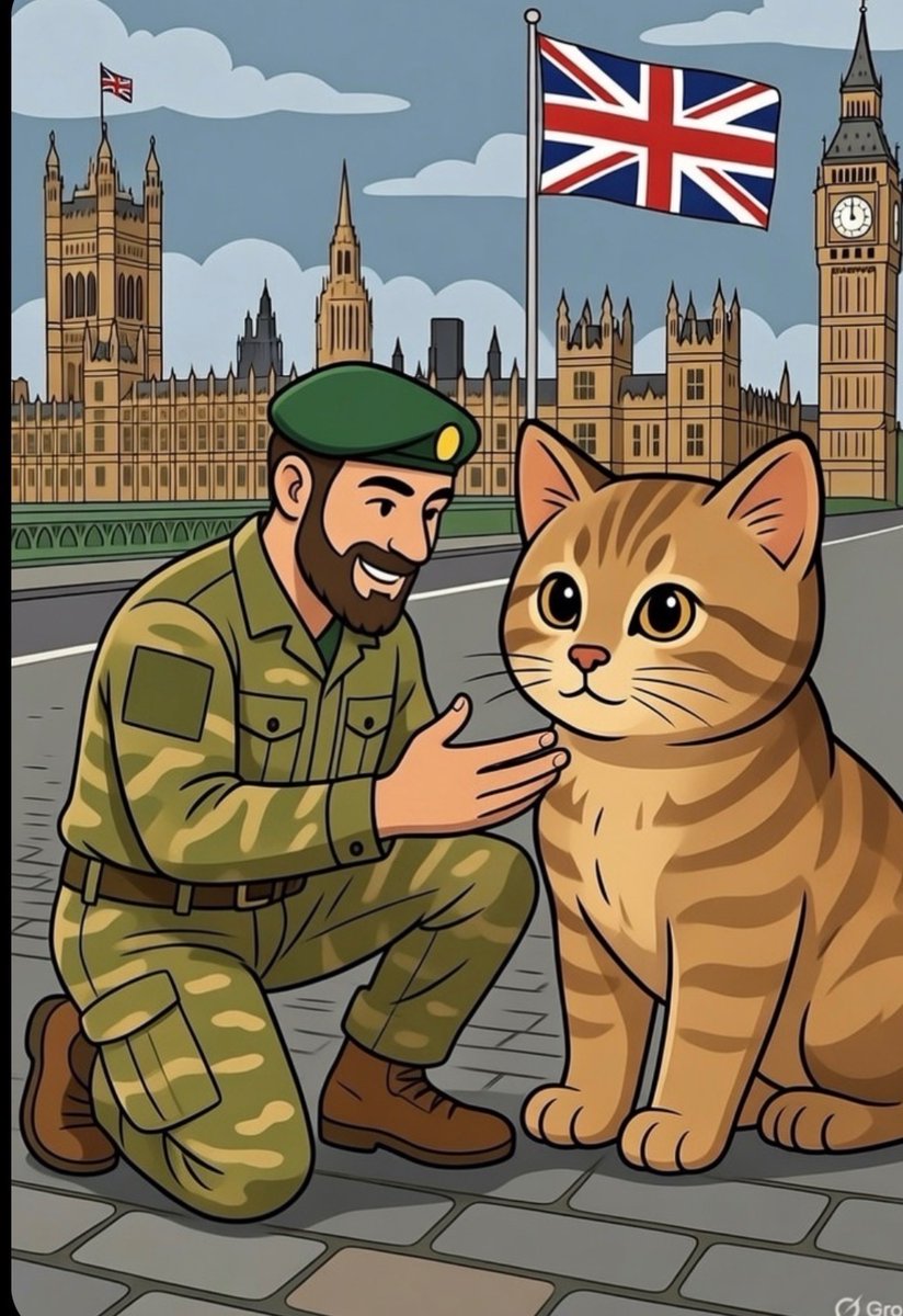 floboflo's tweet image. This is more to scale