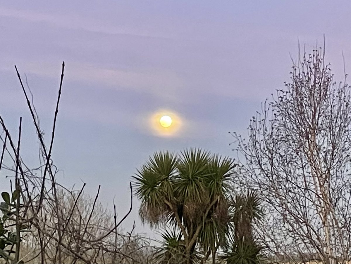 Jack J Nixon tweet media