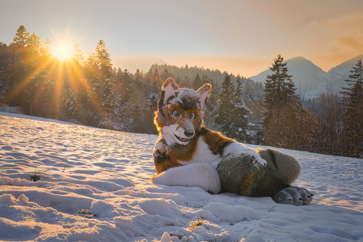 kealianwolf's tweet image. I found a @FluffyTekkie posing in the snow! 
#FursuitFriday