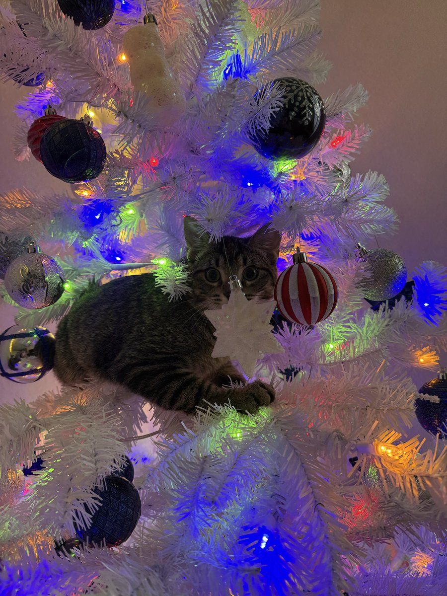 3zmo (@3zmo_) on Twitter photo 