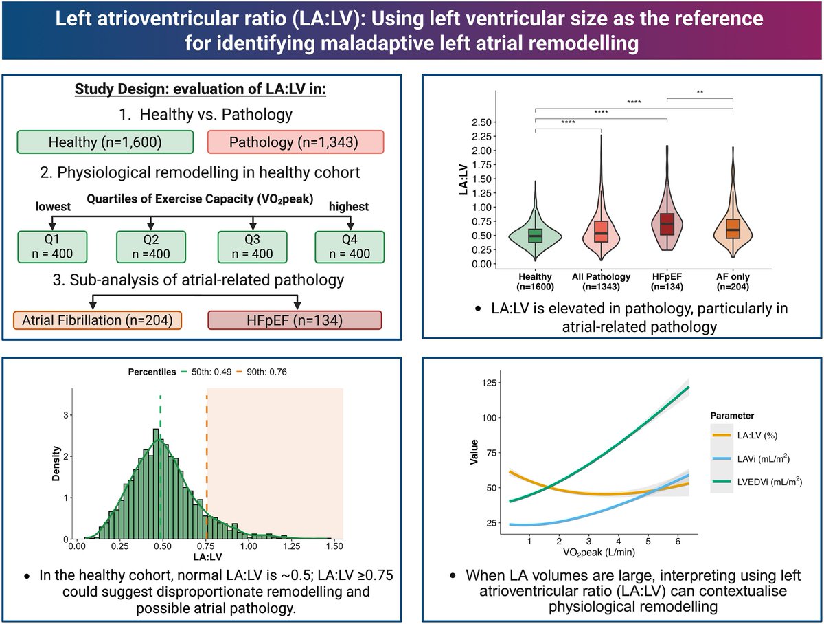 Sports_CardioNL's tweet image. Left atrioventricular ratio (LA:LV): using left ventricular size as the reference for identifying maladaptive left atrial remodelling
academic.oup.com/ehjcimaging/ad…
#Functionalcapacity #echocardiography #cardiacremodelling #Sportscardiology