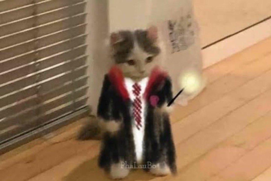 sei la das ideia tweet media