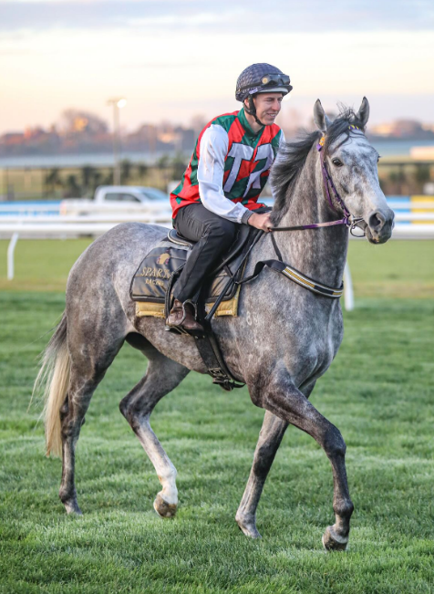 TowardReward's tweet image. 🐼 RUNNER ALERT 🐼

Today @SthsideRacing Pakenham

Race 7 - 3:45PM Ladbrokes Pakenham Cup (2500 METRES) 🏆

#7 STATUARIO (14) Luke Nolan 56KG

@Em_spartaracing