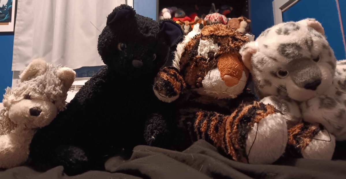 ShadowGohan7's tweet image. Stuffed Animals Worlds2025 Round 3 - Mike vs Mr.Whiskers, Winifer vs Puffles twitch.tv/kage_wolf7
