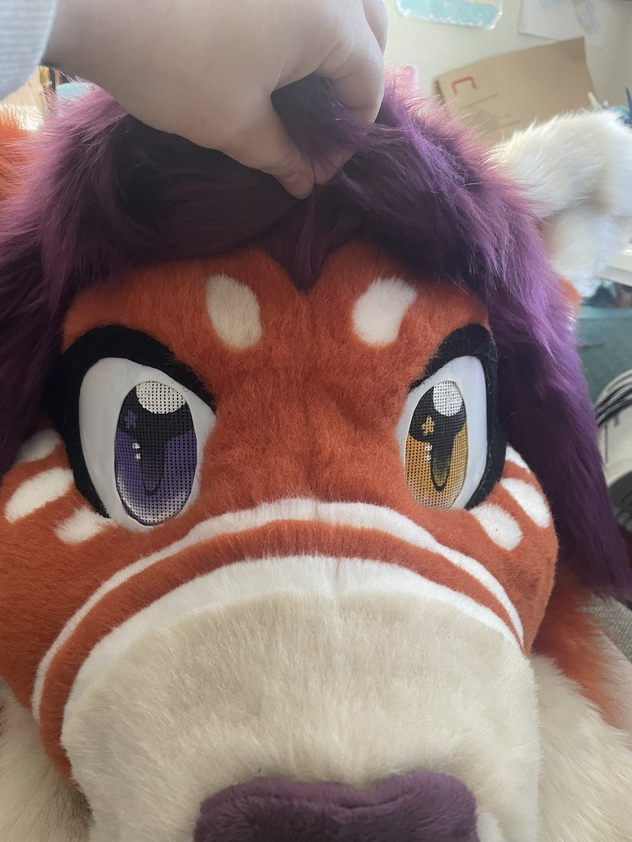 🐏Dusty the Ram tweet media