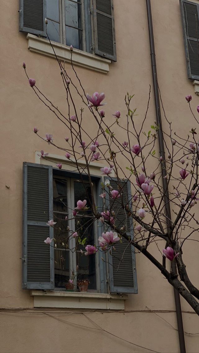 Ağlatır beni dünya ehlinin acımasızlığı; bu fâni alem için beklentiye giren kalbime de kırgınım.

📜 Cahit Zarifoğlu